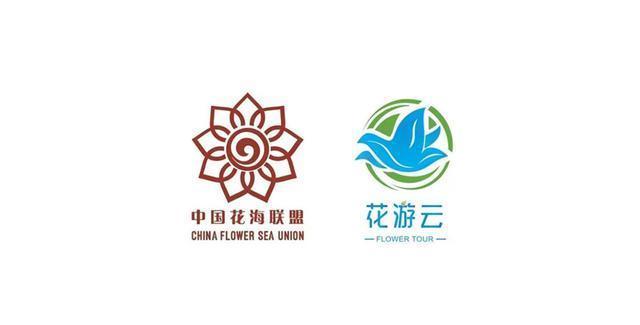 紫藤中最有名的品种叫什么名字,非常好种不需要太阳的紫藤品种