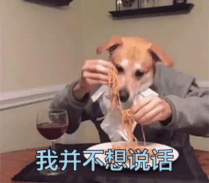 维诺拉狗粮,维诺拉犬
