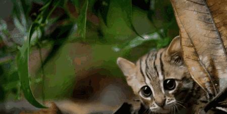 这6部电影足以秒杀大部分电影,十部必看旅行纪录片人文纪录片