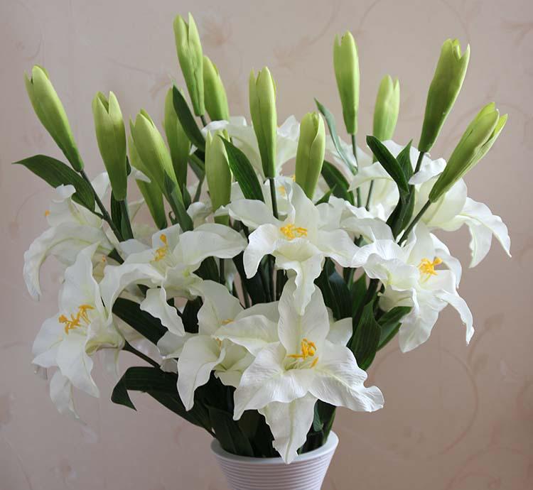 中国十大名花之花中之王牡丹,作为富贵象征的牡丹花