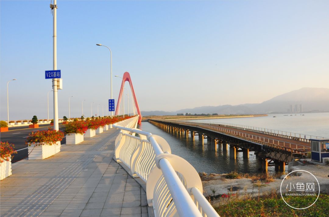 鬼城or未来可期？我们走进漳州港，发现“接盘侠”的各种悲喜交加