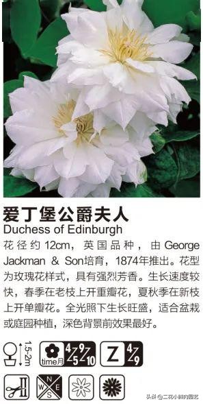 鍥壓鑺卞崏绉嶆鐭ヨ瘑鍏ラ棬,鑺卞崏鍥壓濡備綍鍏ラ棬