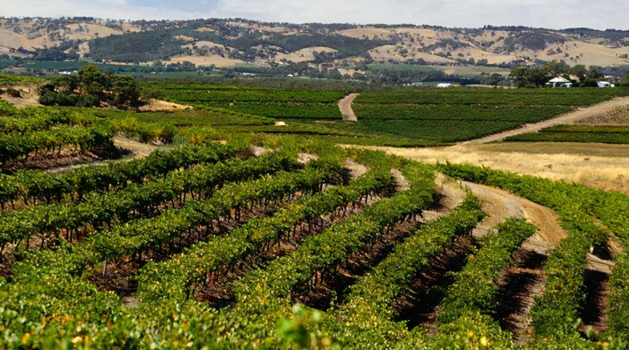 澳大利亚整箱葡萄酒价格,澳大利亚四大葡萄酒产区分布图