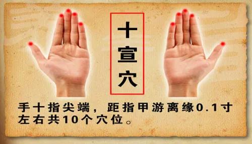 中暑的针灸穴位,中暑穴位倪海厦