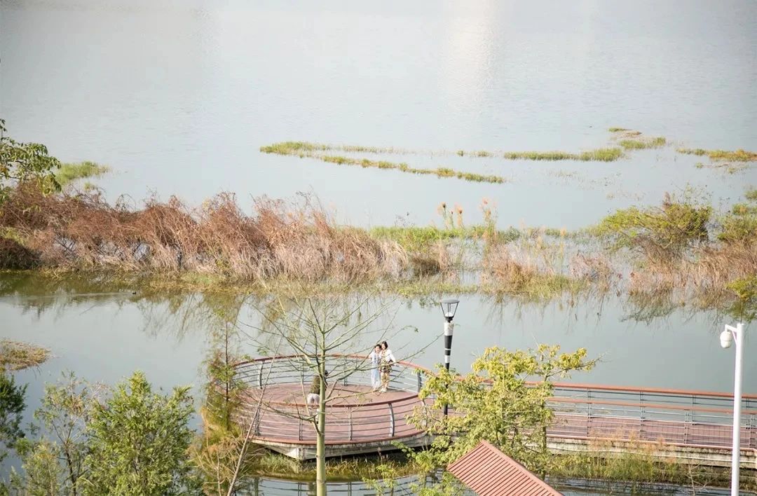 深圳11号线哪一站下车可以看海,坐深圳11号线去看海的地方