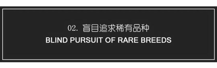 琥珀蜜蜡的正确清理方法,琥珀蜜蜡上有个小坑怎么办