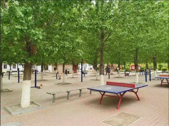 天之骄子是啥意思,天之娇子啥意思