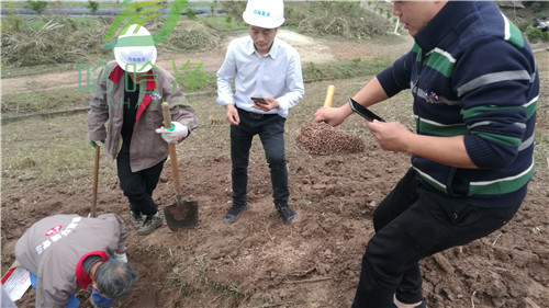 园林白蚁怎么消灭才干净,重庆除白蚁方法