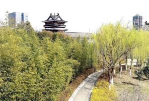 江苏省盐城市近期新闻,江苏盐城城市概况简介