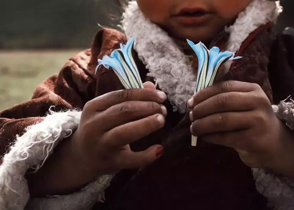 神秘的藏地精灵，米拉子子与米拉的故事