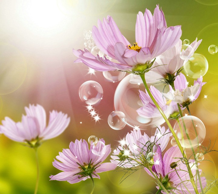 我爱你是个完整句子吗,我爱你三个字倒过来说