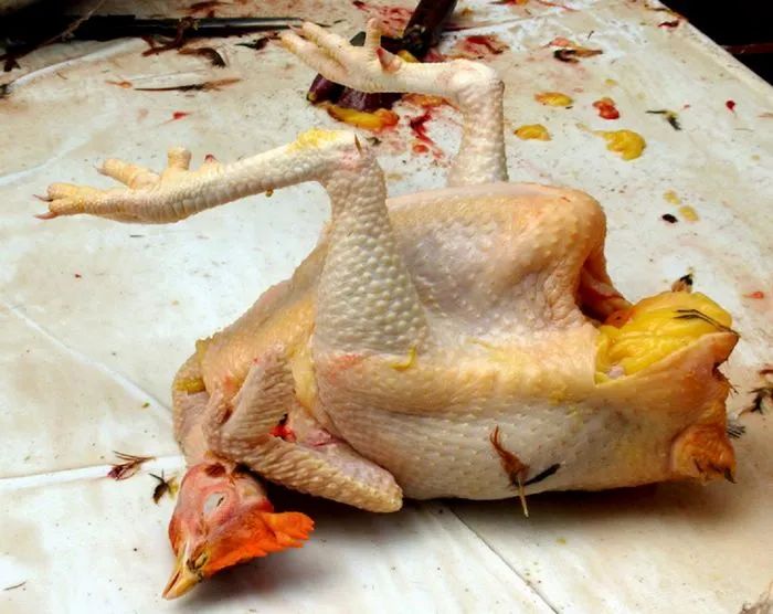 城市人当“垃圾”丢掉的鸡内金,被农村人当“宝贝”,卖68元1斤