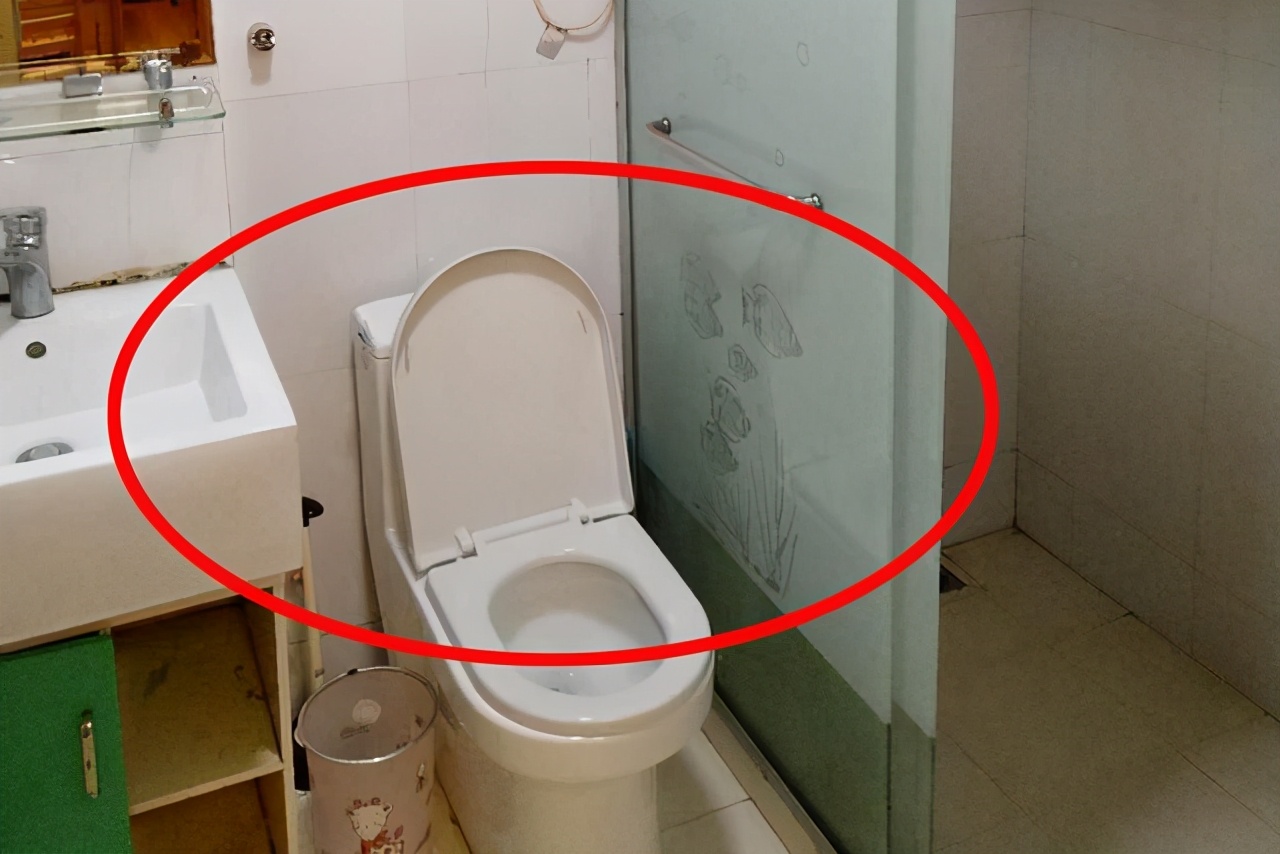 卫生间整墙设计翻车案例,下沉式卫生间翻车补救