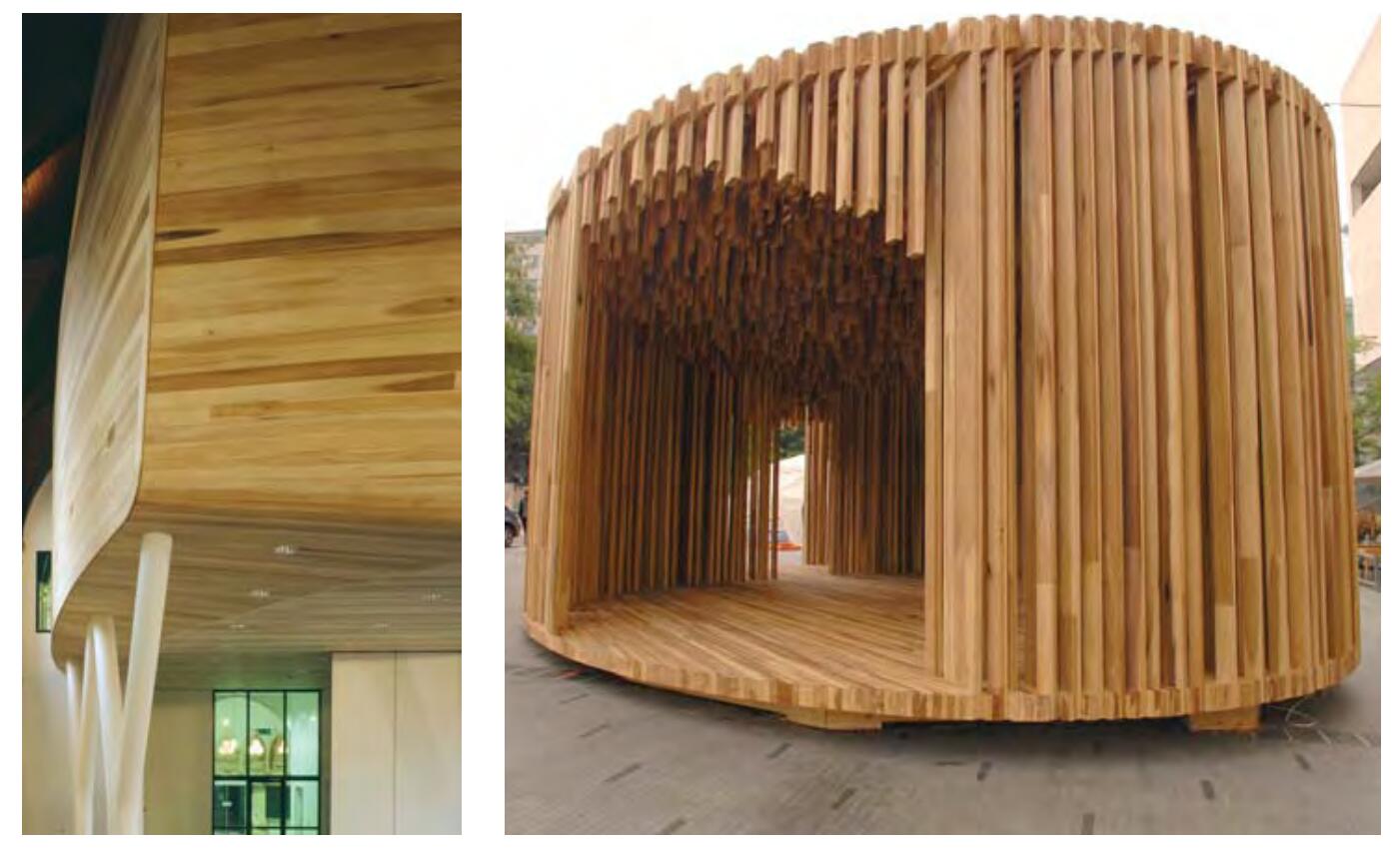 国外进口木材有哪些,进口木材种类名称大全图片及价格