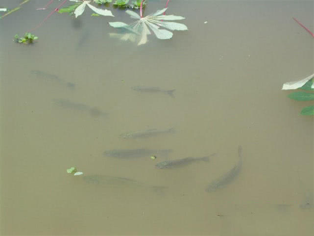 一个骑摩托车的钓鱼人，还真不是为了钓鱼