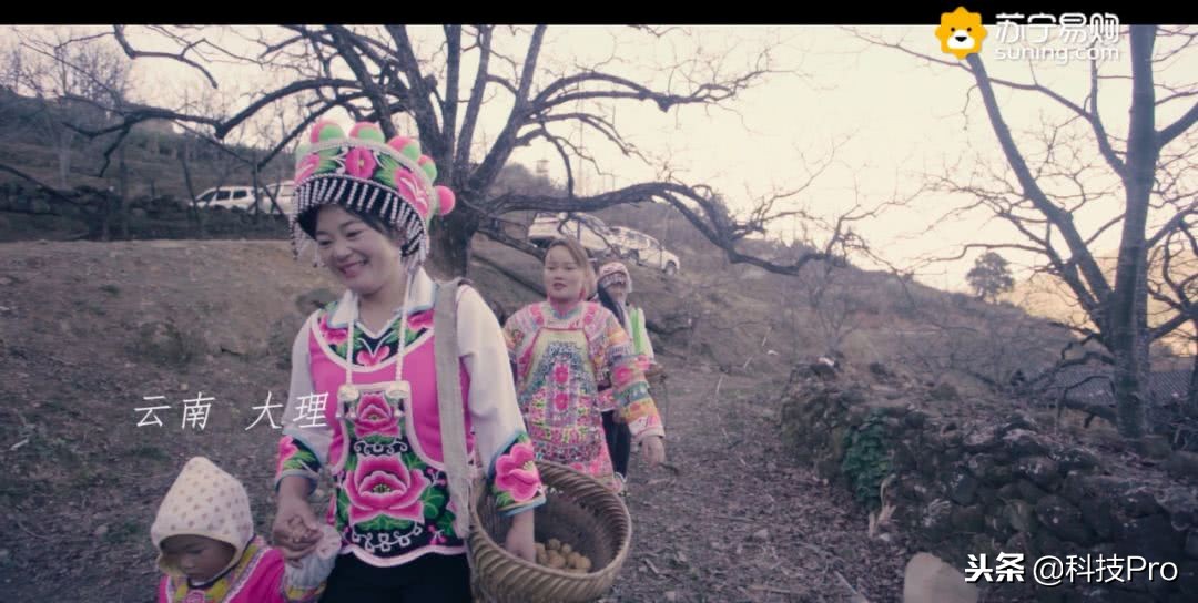 苏宁旗下社交电商 (苏宁社交电商新玩法)