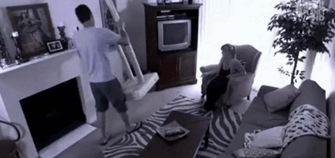 猫为什么总凶别人,猫为什么凶新来家的小猫