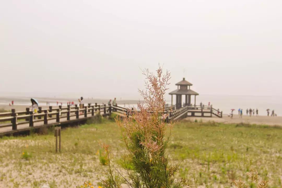 天津最适合旅游的小岛,不去景点北戴河怎么玩