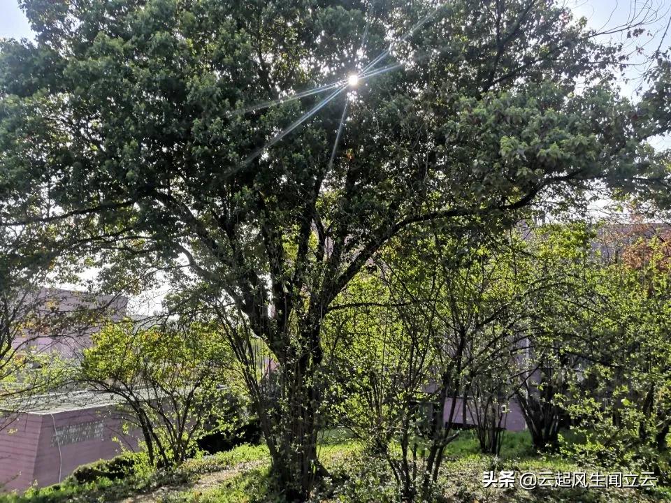 随州县城网红打卡地,随州市曾都区旅游景点