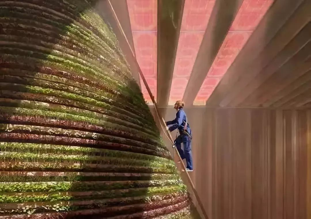 2020迪拜世博会,2020迪拜世博会中国馆