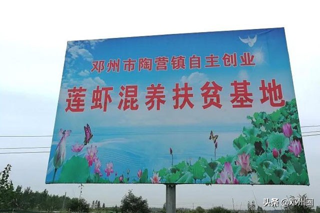 从“贫困郎”到“龙虾王”，卢胜旺是怎么做到的？