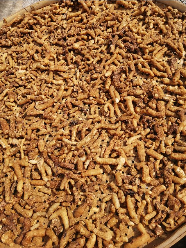 四明山哪里有山黄精,上方山三宝之一黄精