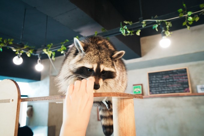 去韩国必买清单,韩国购物攻略衣服