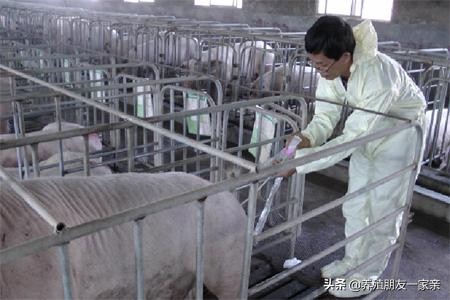 输精管堵不通畅能治疗吗,精子倒流导致不舒服