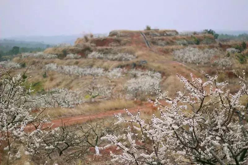 有个地方叫南雄,岭南一隅的南雄