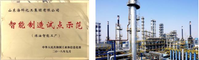 海科石化服务管理,海科石化的发展战略