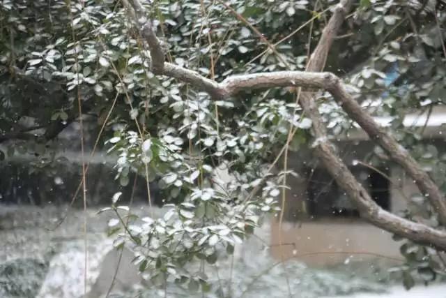 石家庄铁道大学曾经有多辉煌,1979年的石家庄铁道大学