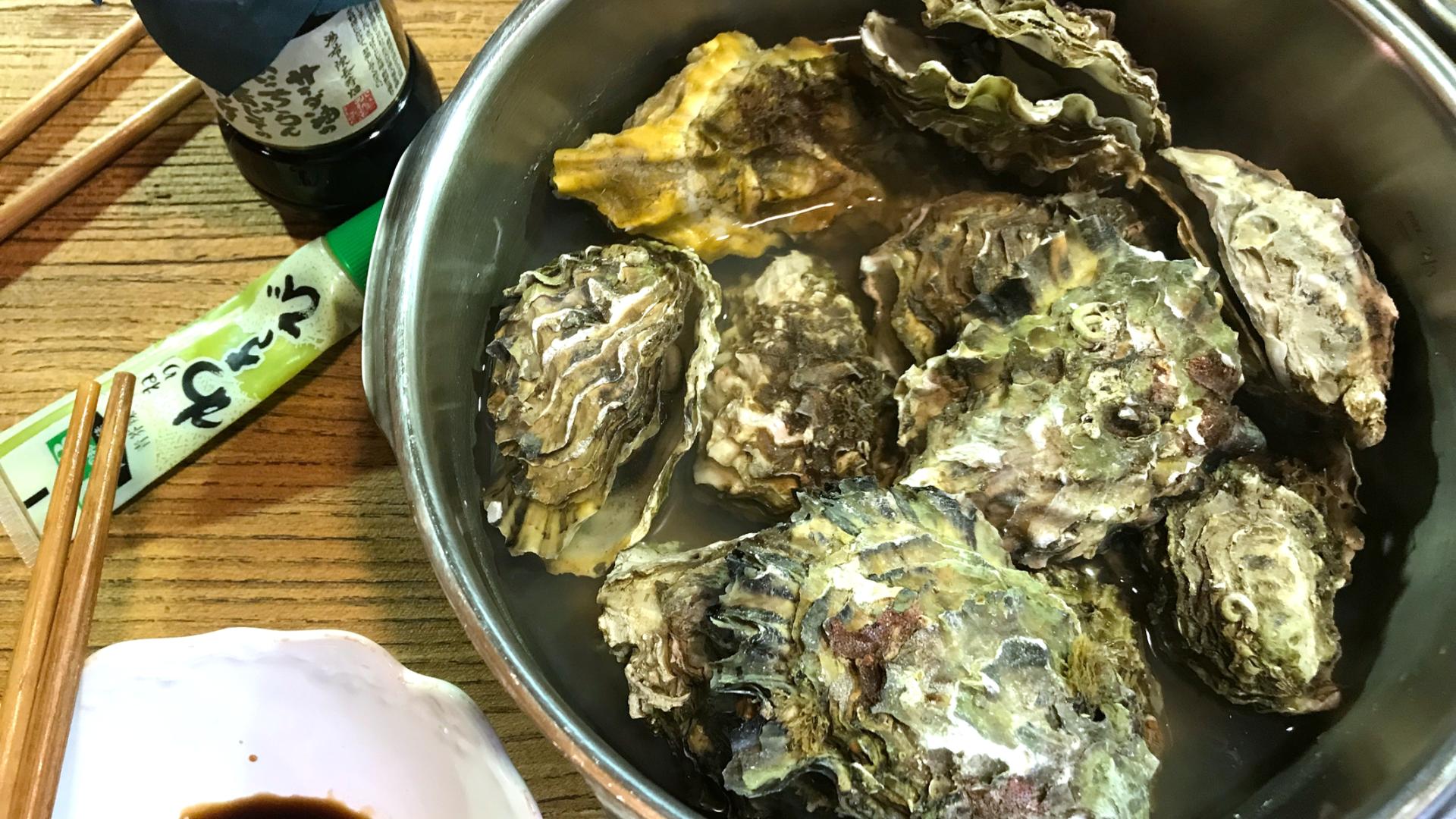 锅具选择测评,新手锅具推荐