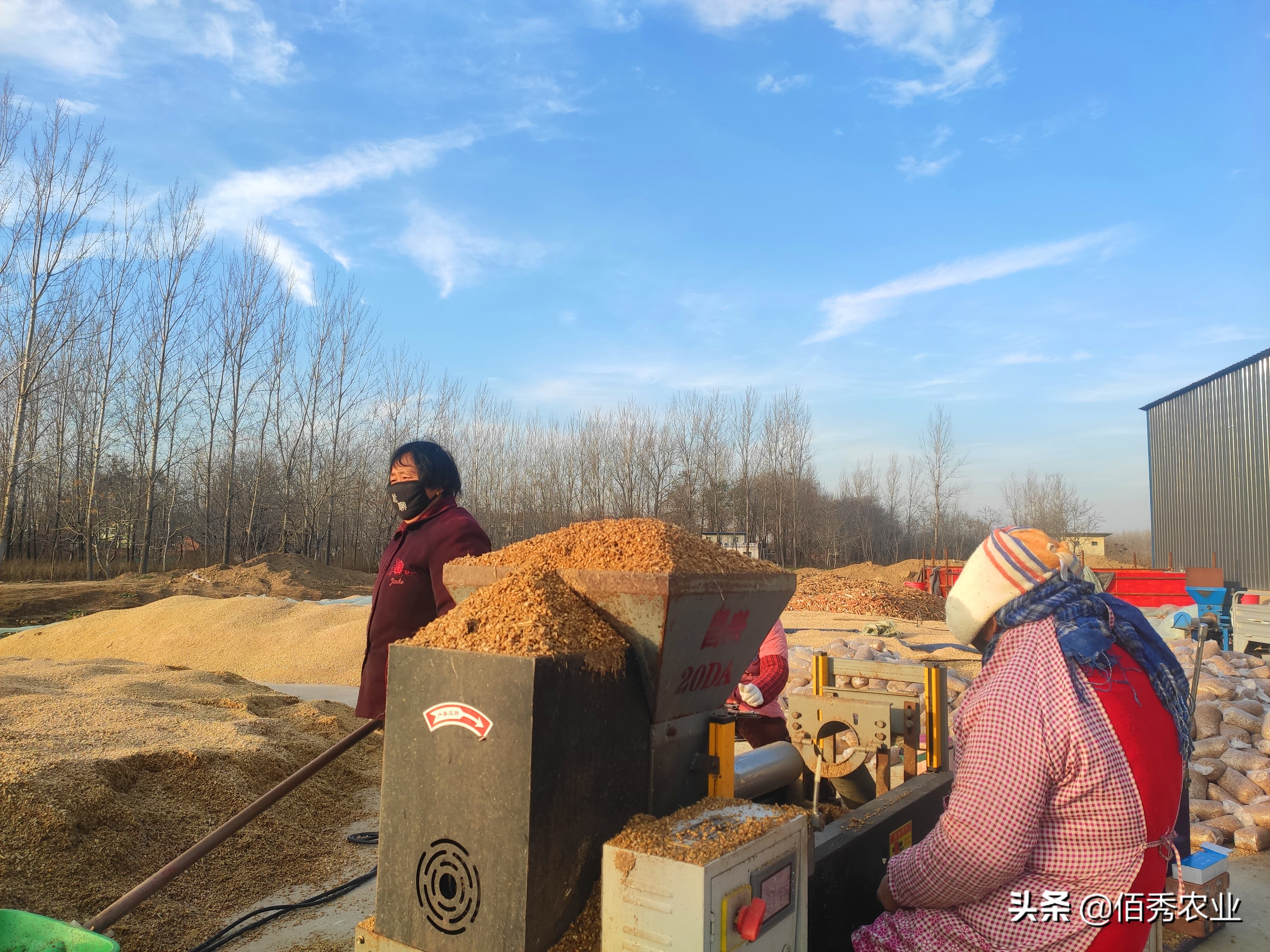 未来5年农村最有前景的行业,未来5年在农村最有前景的5个行业