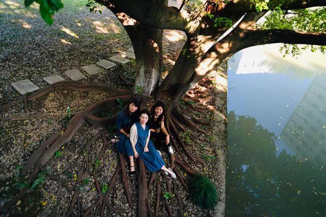 温州的学校传说,20年前温州学校回忆