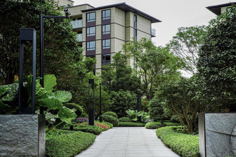 昆明的未来在滇池,昆明滇池定居的真实感受