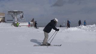 初学双板滑雪基本动作,双板滑雪基本姿势教学