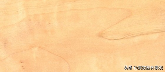 木纹最好看的木材图片,各种木材纹理图片与名称