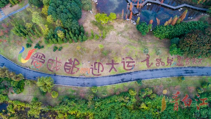 大运会会徽成都,成都大运会会徽图案