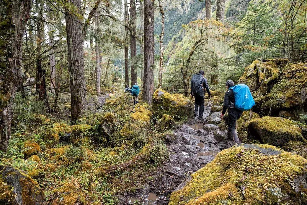 世界公认的步道 (全球最难走的步道)