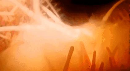 每一个都那么拼命前进，我们还好意思去选择性别吗？