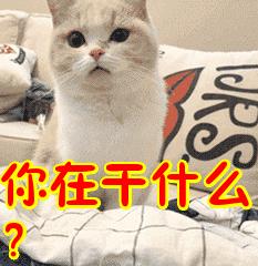 30张动图图片,会动的照片简直绝美