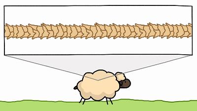 被洗缩水的羊毛衫还有救么,100%绵羊毛羊毛衫怎么清洗防缩水