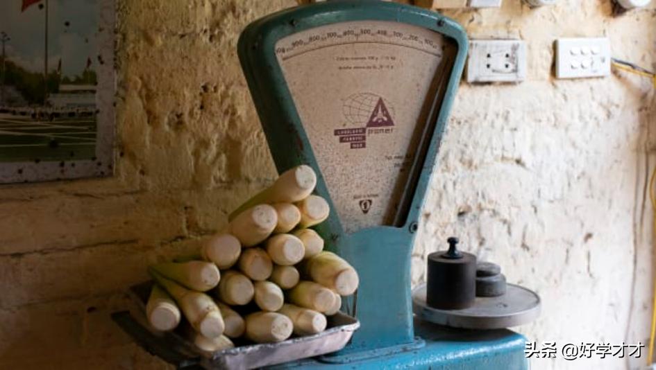 越南河内出名的菜品,越南河内美食图片大全