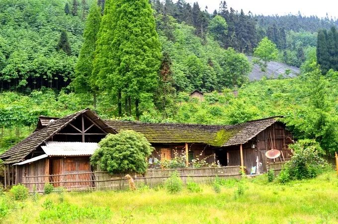 成都清凉耍水,成都周边免费露营耍水