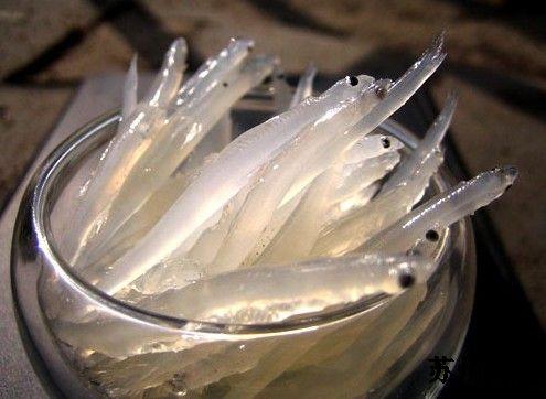 苏州东山小众打卡地,苏州东山和西山哪个好玩