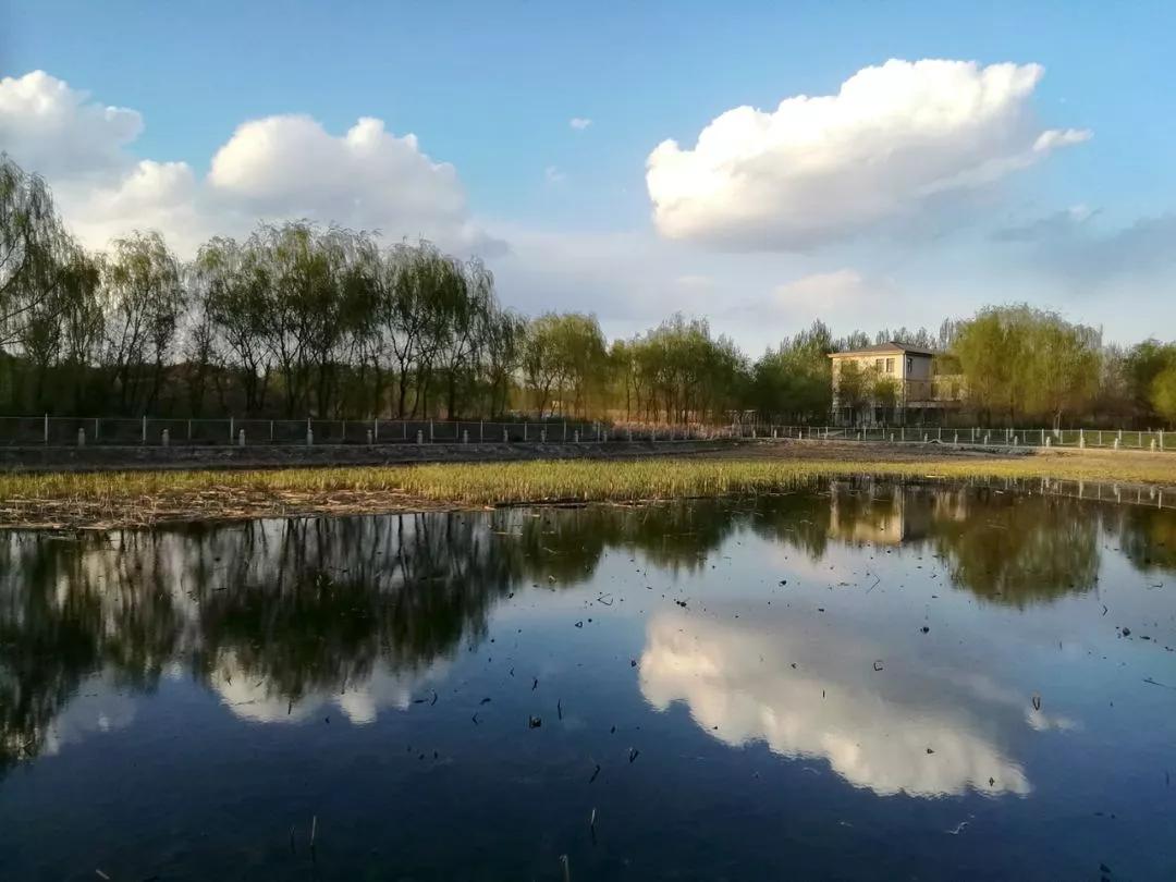 沈阳音乐学院院校代号,辽宁三所高校