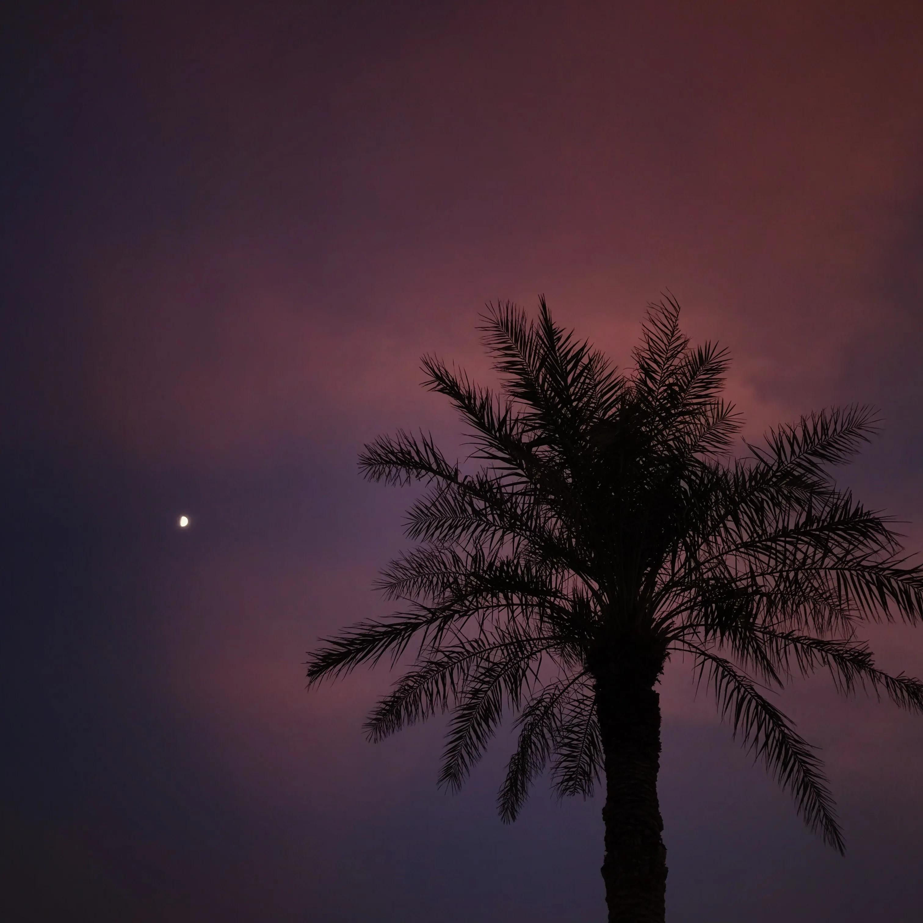 为什么迪拜天气那么热,迪拜的天气相当于中国的哪个城市