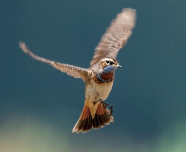 情人岛拍摄地点,情人岛航拍视频