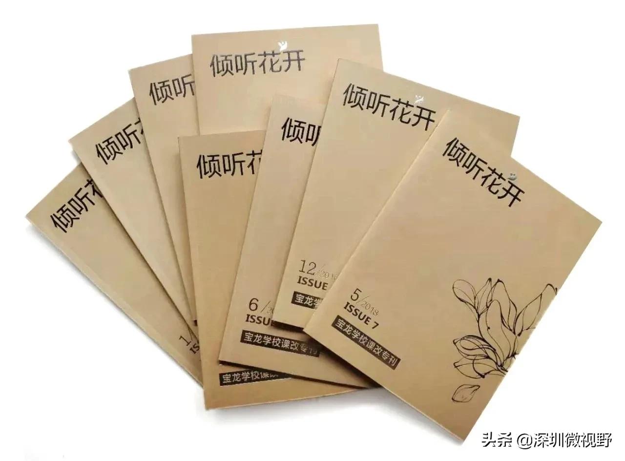 深圳市龙岗区宝龙学校怎样,龙岗宝龙学校学生