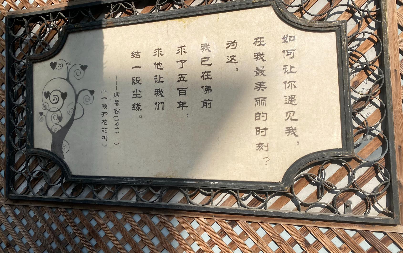 魔都哪些适合情侣打卡的约会圣地,魔都必逛约会圣地